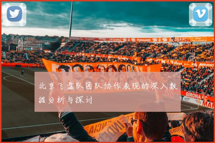 北京飞盘队团队协作表现的深入数据分析与探讨